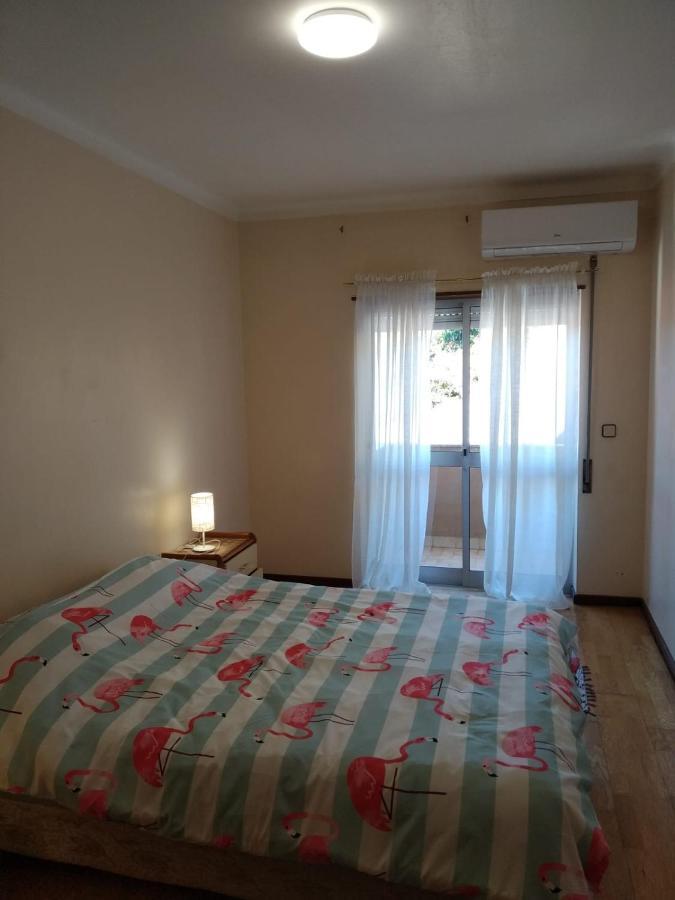 Apartamento Solvita 科英布拉 外观 照片